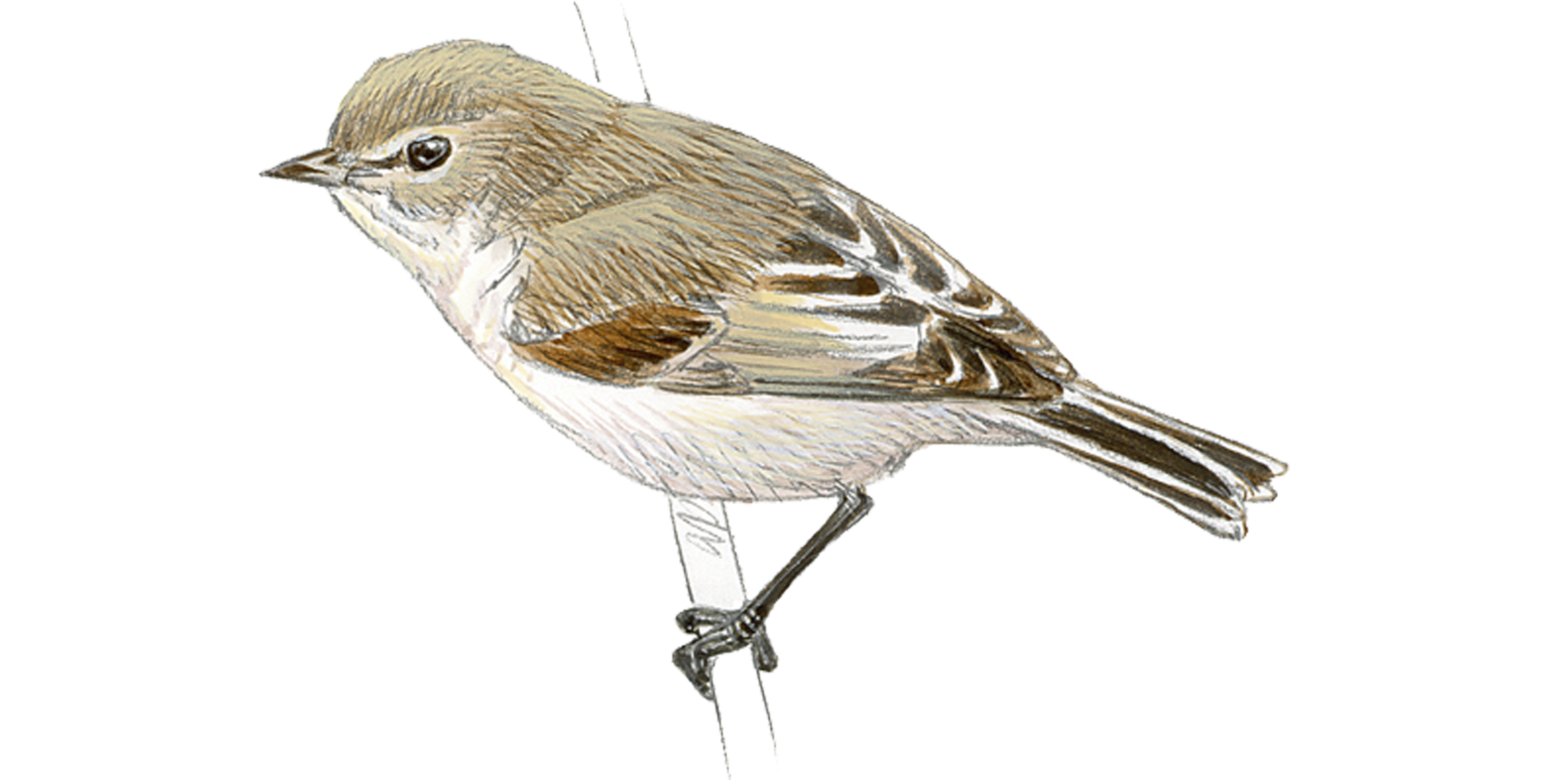 Personaje de diciembre 2016, de Luis Antonio Novella.