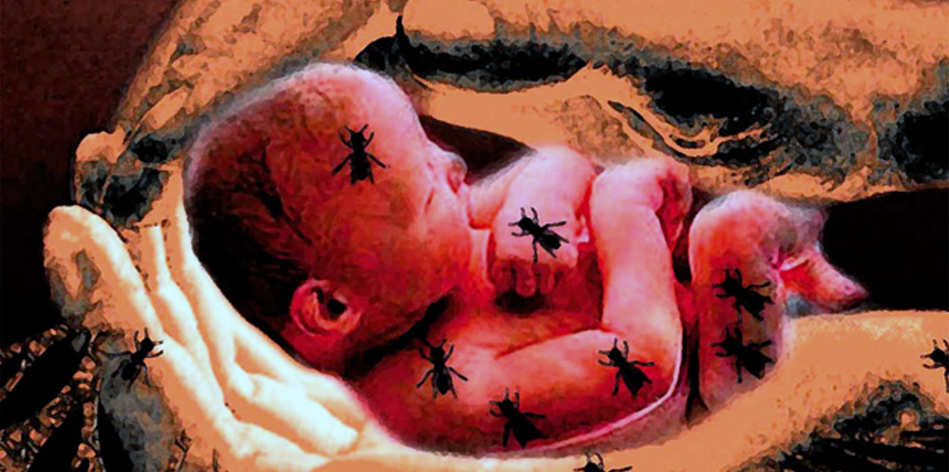 Autor de marzo 2015, por Luis Antonio Novella.